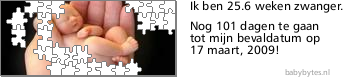Ga naar de puzzeltickers