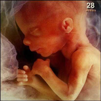 28 Weken Zwanger Update Kelly Caresse