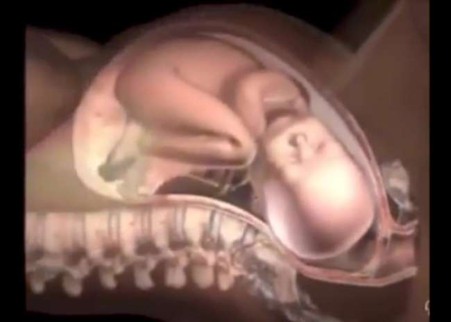 Indrukwekkende animatie: hoe een kind ter wereld komt