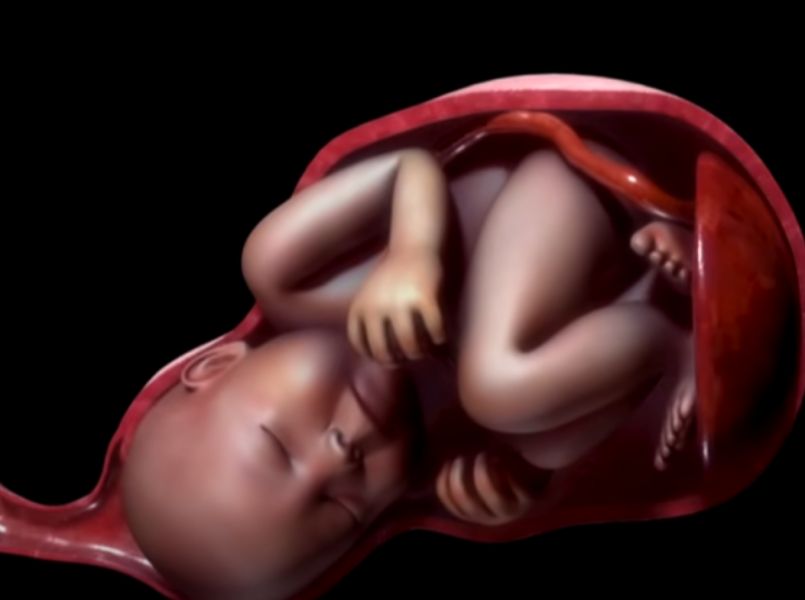 Video: deze fases doorloop je tijdens een bevalling