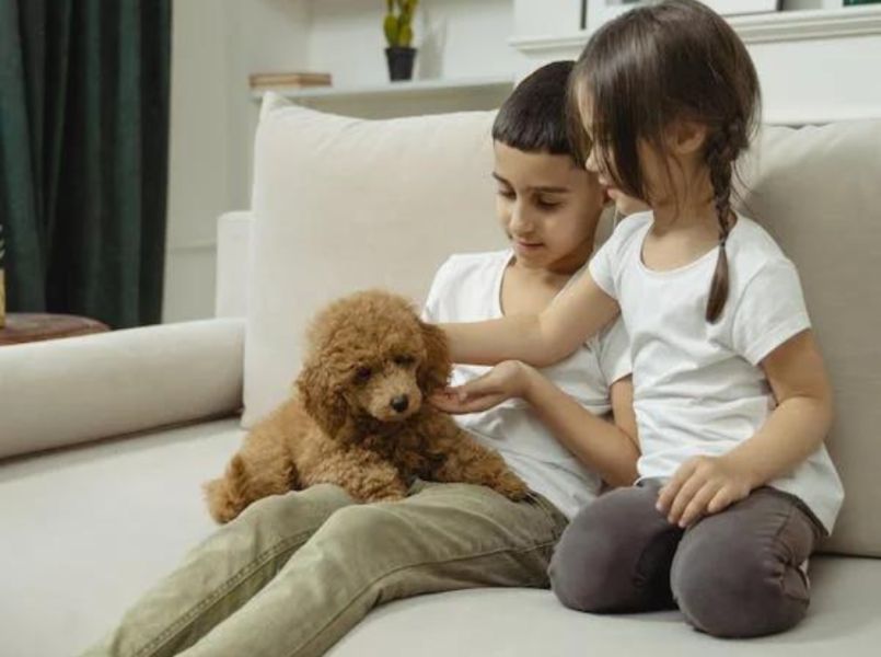 Dit zijn de voordelen van het opgroeien met huisdieren