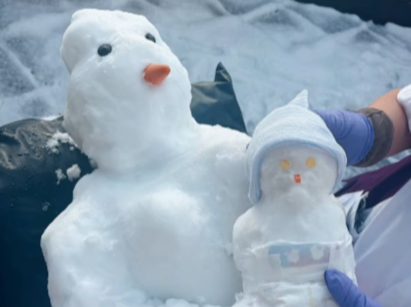 Sneeuwpret: sneeuwpopbaby Olaf geboren