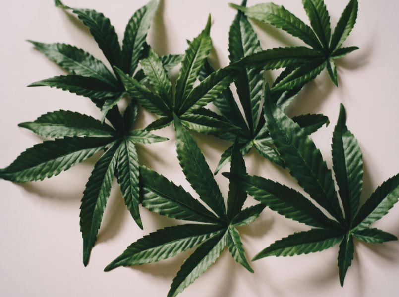 Cannabis tijdens de zwangerschap: waarom het wél schadelijk is voor je baby 