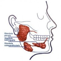 Kinderziektes De-Bof
