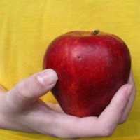 Gewicht Eetstoornissen