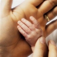 Werk: Ouderschapsverlof (Nederland)