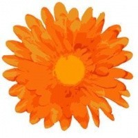 Verlies Missed-abortion