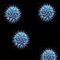 Tests voor de zwangerschap Antistoffen