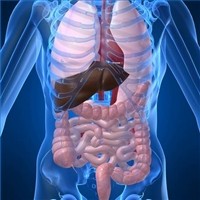 Crohn en Zwangerschap 